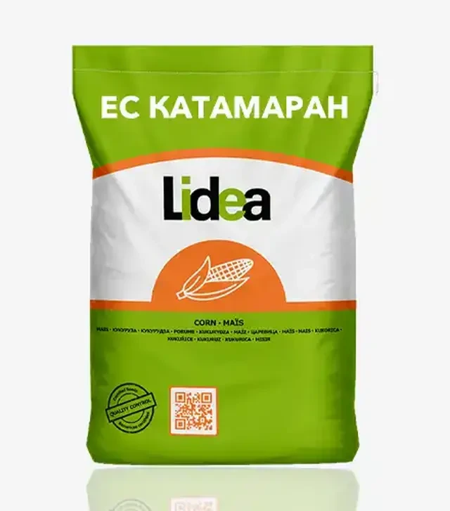 Кукурудза ЕС Катамаран, п.о. 80 тис. насінин (Lidea)