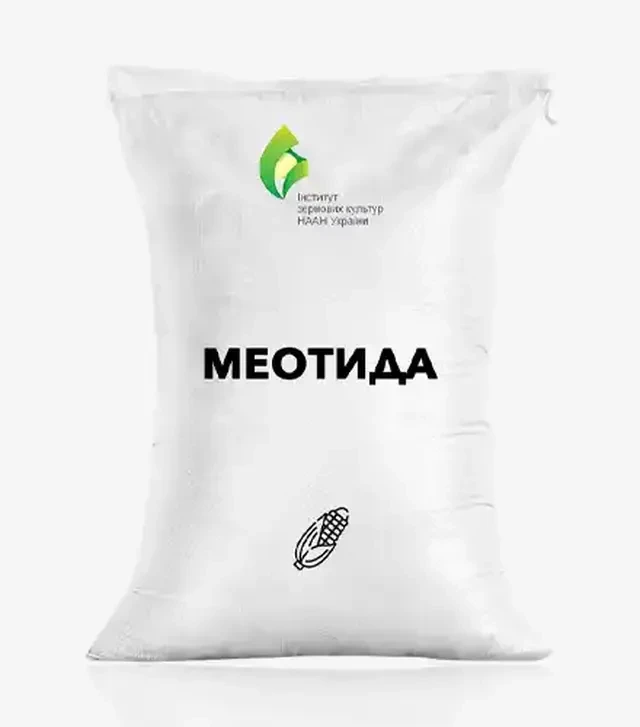 Кукурудза Меотида, п.о. 80 тис. насінин (Інститут сільського господарства степової зони НААН України