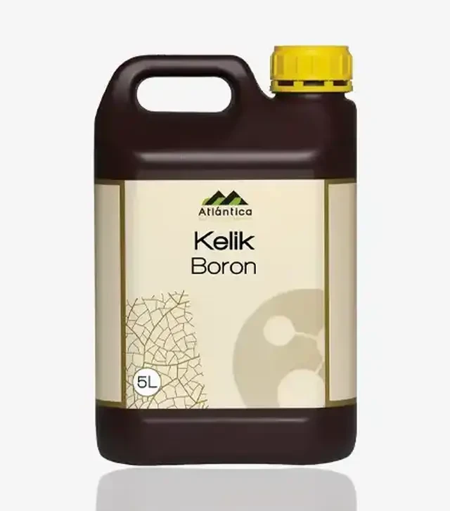 Мікродобриво Келік Бор (В), 5 л (Atlantica Agricola)