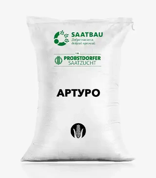 Кукурудза Артуро, п.о. 80 тис. насінин (Saatbau)