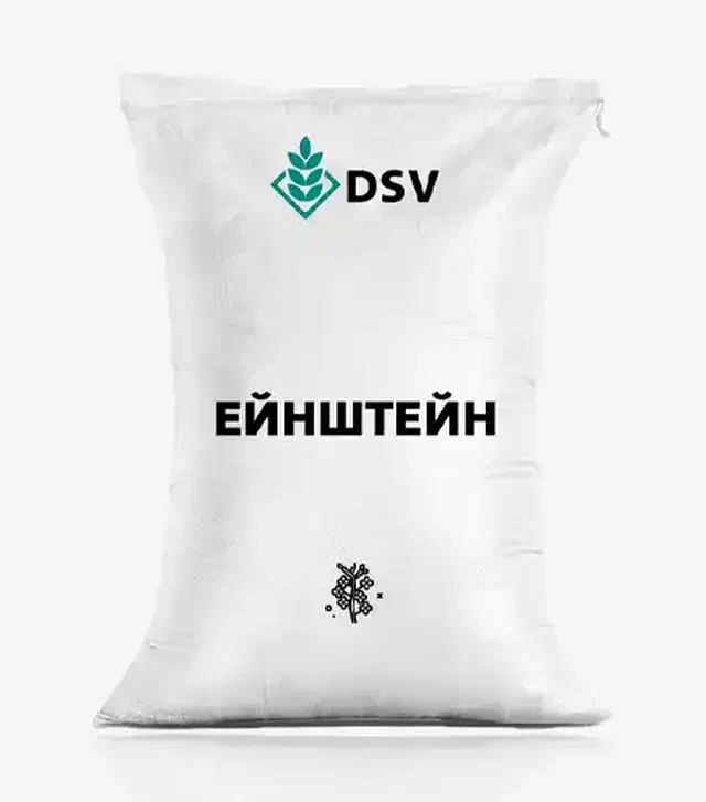 Рапс озимый Эйнштейн, п.е. 1500 тыс. семян (DSV)