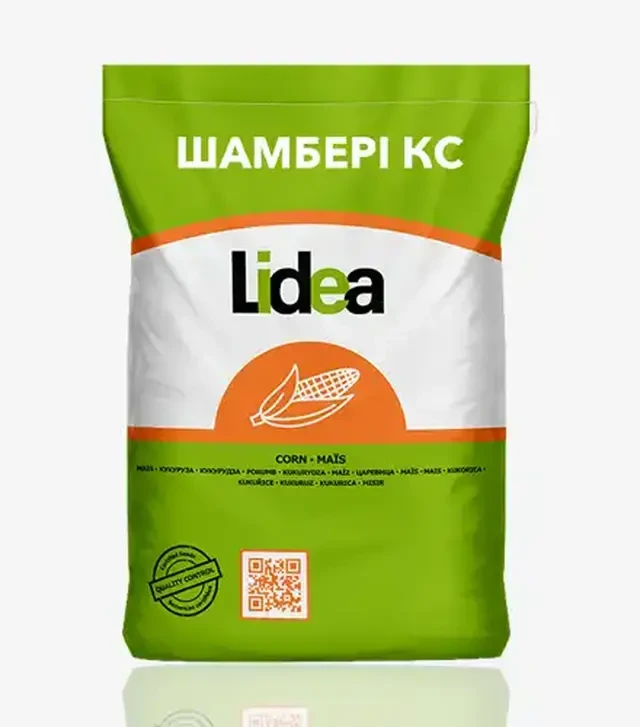 Кукурудза Шамбері КС, п.о. 80 тис. насінин (LIDEA)