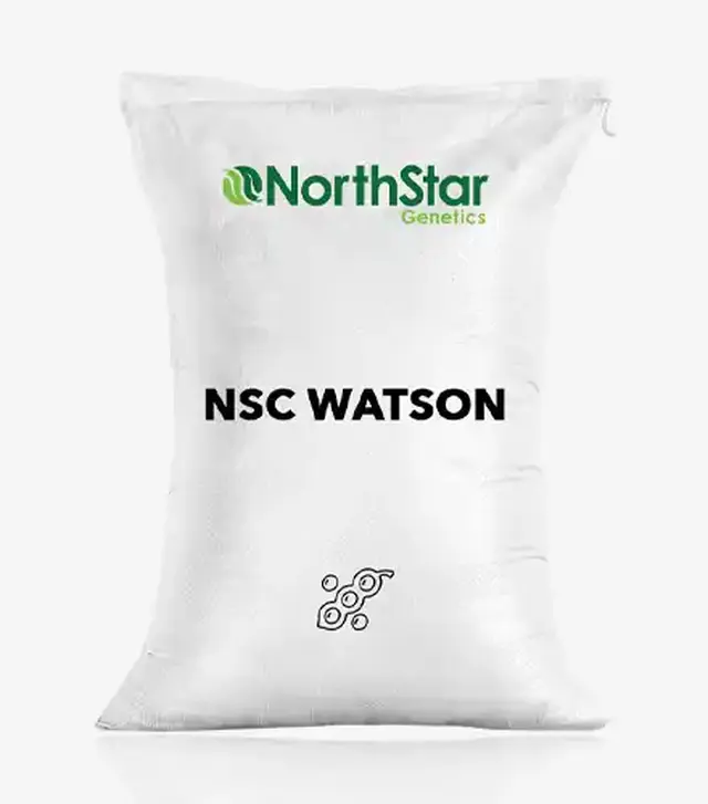 Соя NSC Watson (НСК Ватсон), т (NorthStar Genetics)