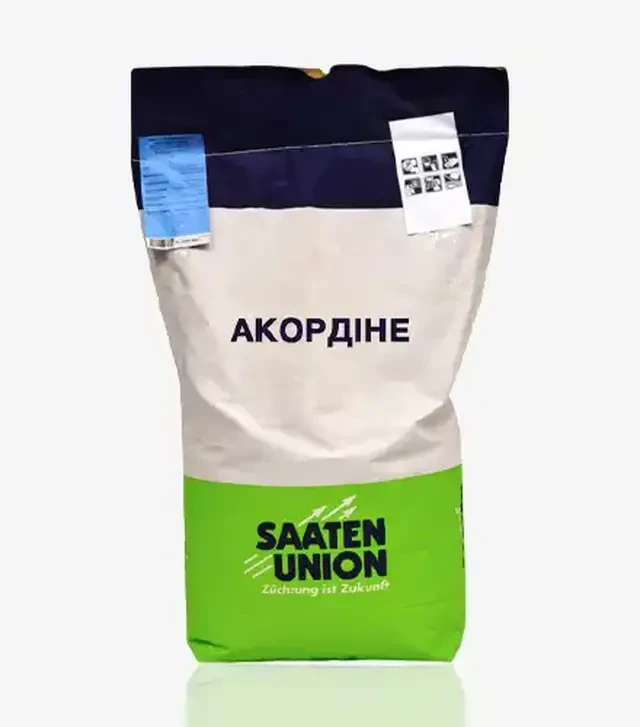 Ячмінь ярий Акордіне, т (Saaten Union)