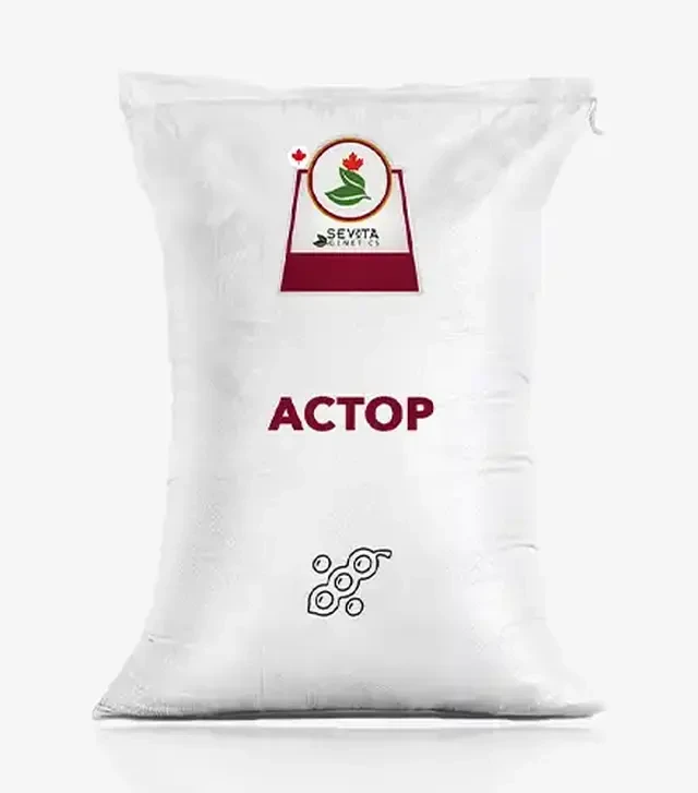 Соя Астор, т (Sevita Genetics)