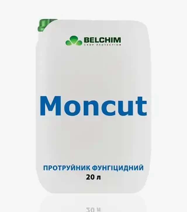 Протравитель Монкат, 20 л (Belchim)