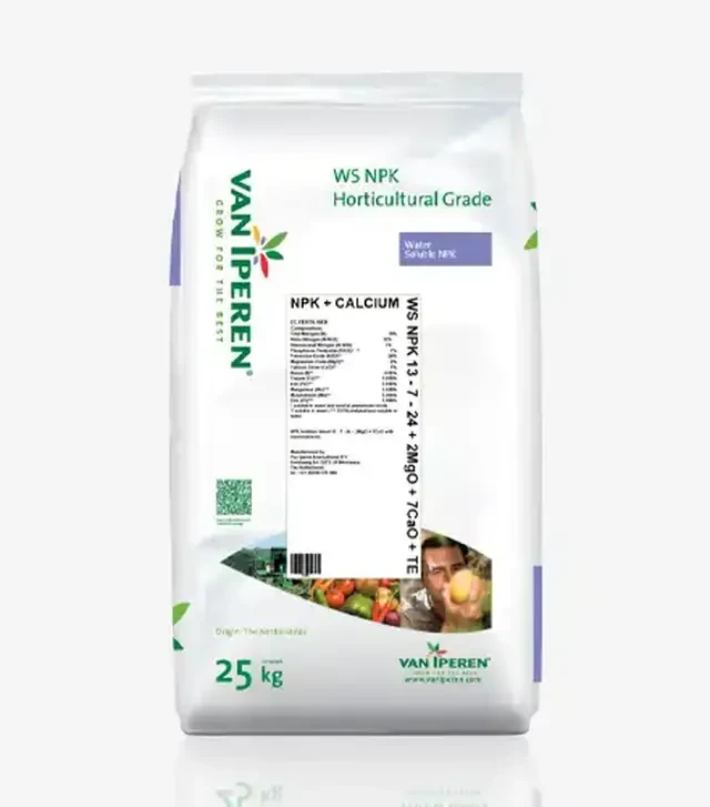 Микроудобрение WS NPK 13-7-24+2MgO+7CaO, 25 кг (Eurosolids)