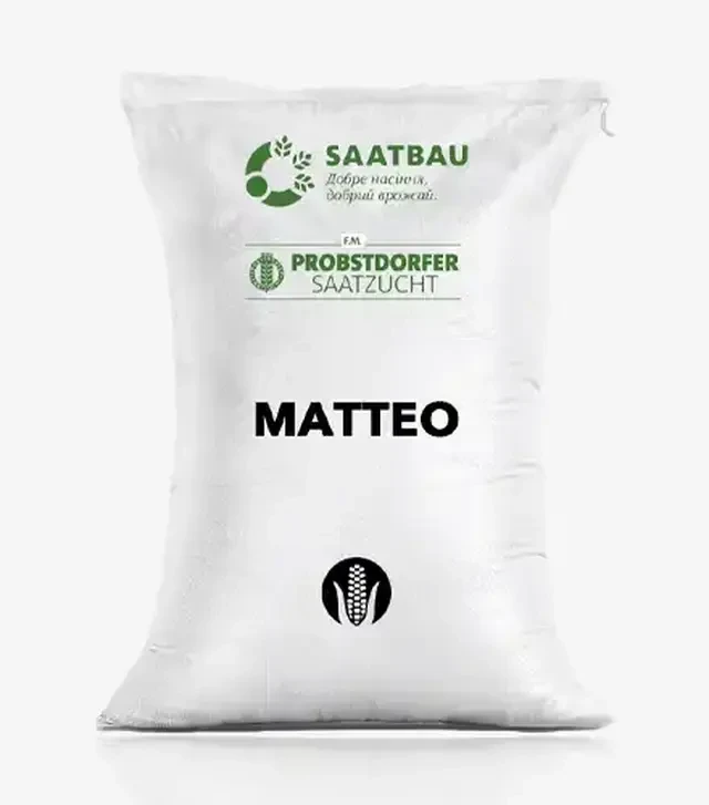 Кукуруза Маттео, п.е. 80 тыс. семян (Saatbau)