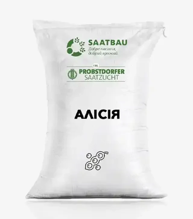 Соя Алісія, т (Saatbau)