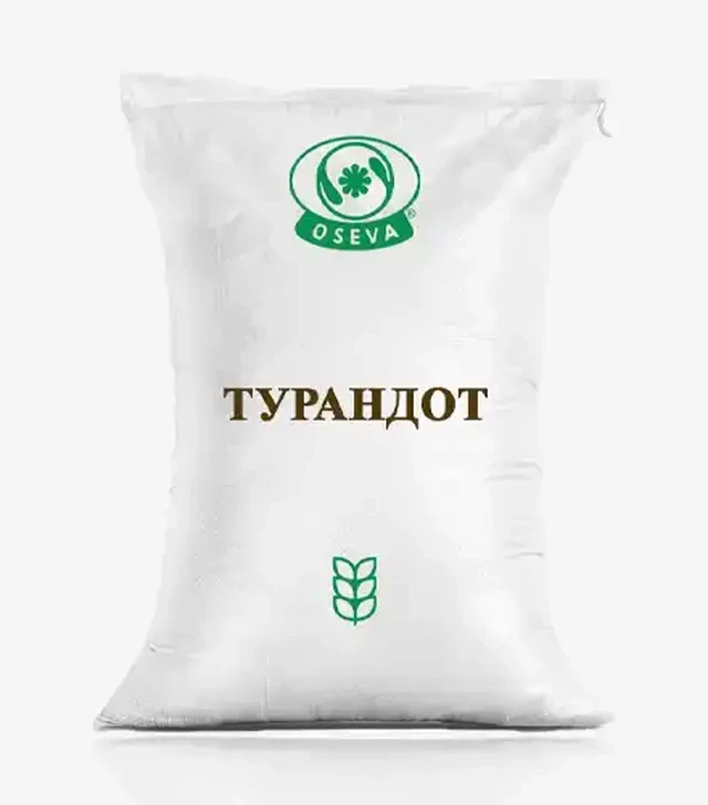 Пшениця озима Турандот, т (Осева)