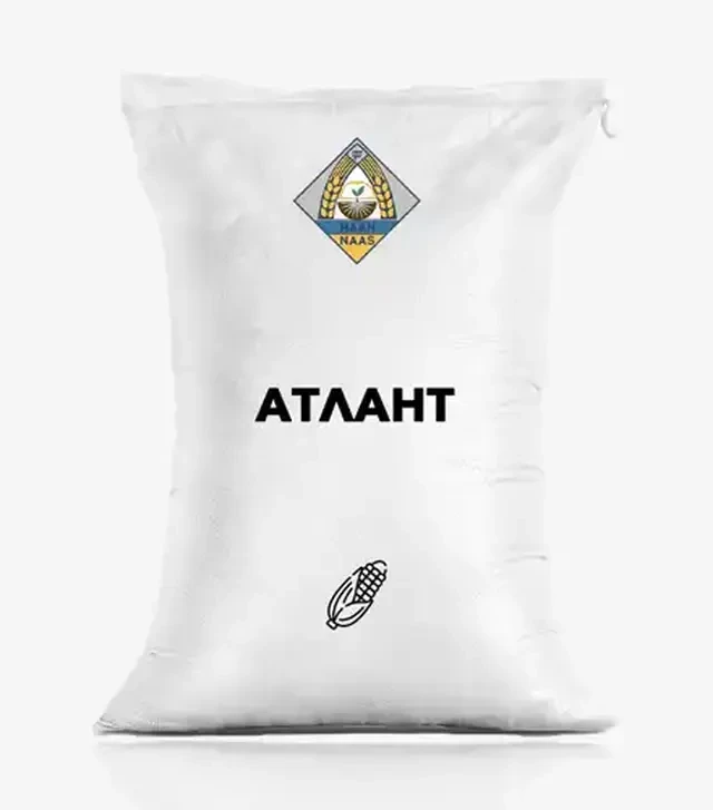 Кукурудза Атлант, п.о. 50 тис. насінин (Інститут землеробства НААН України)