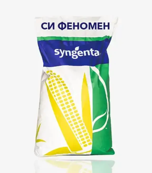 Кукурудза СИ Феномен, п.о. 80 тис. насінин (Syngenta)