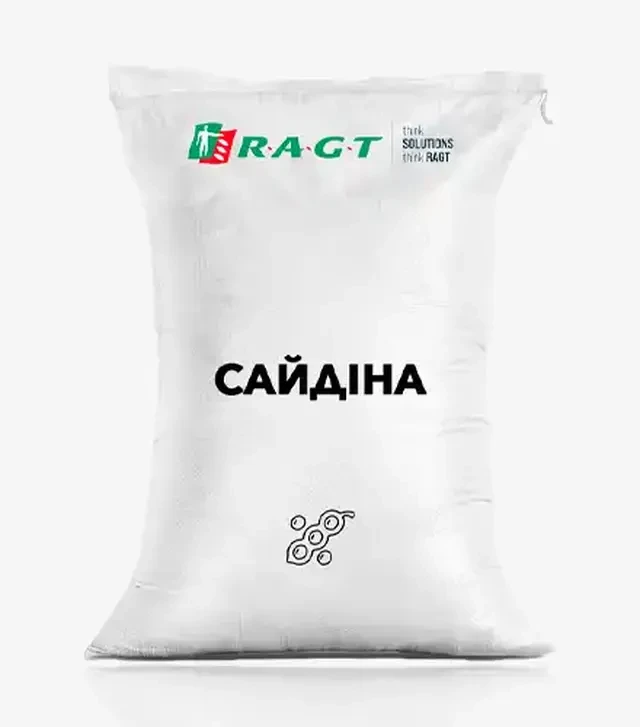 Соя Сайдина, т (RAGT)