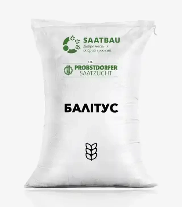 Озимая пшеница Балитус, т (Saatbau)