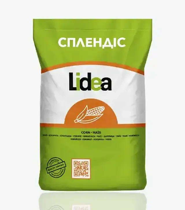 Кукурудза Сплендіс, п.о. 80 тис. насінин (Lidea)