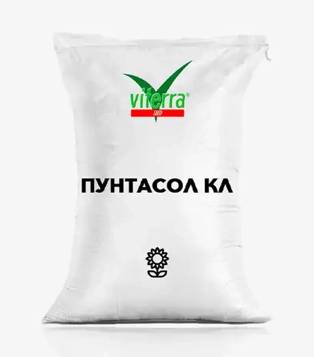 Соняшник Пунтасол КЛ, п.о. 150 тис. насінин (ViterraSeed)