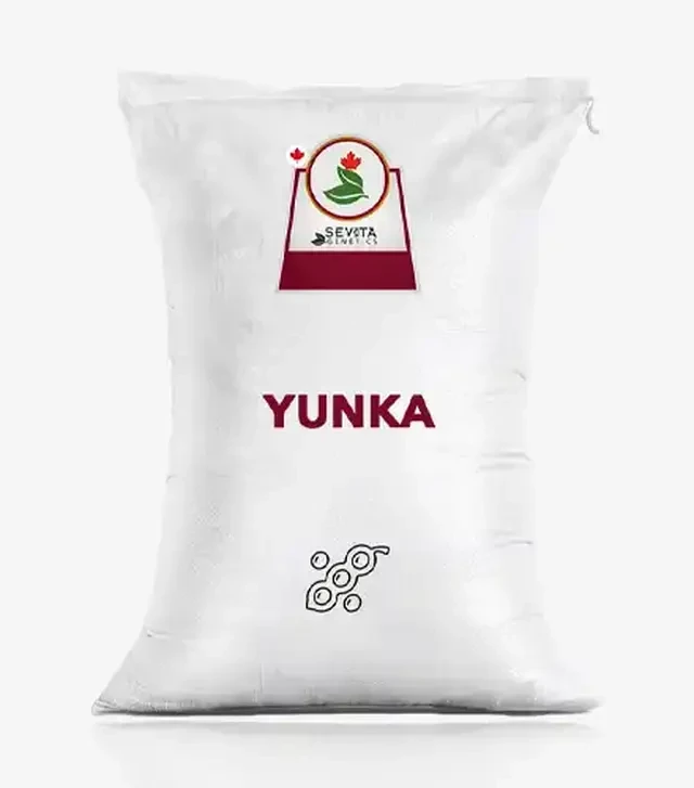 Соя Юнка, т (Sevita Genetics)
