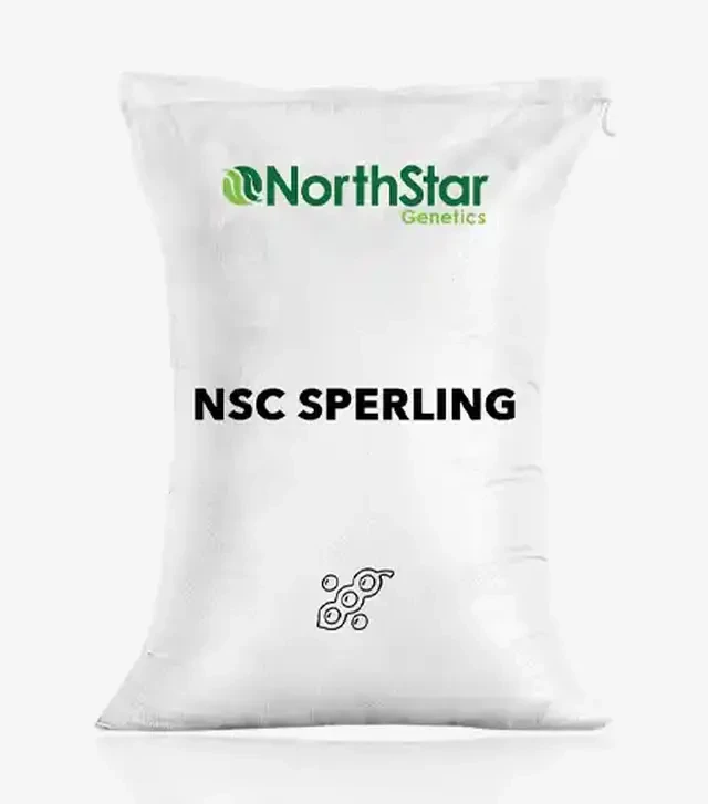 Соя NSC Sperling (НСК Сперлинг), т (NorthStar Genetics)
