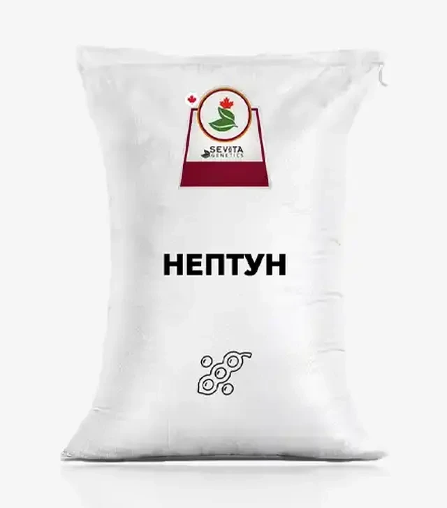 Овес озимий Нептун, т (ІСМАВ НААН)