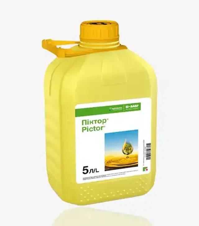 Фунгицид Пиктор, 5 л (Basf)