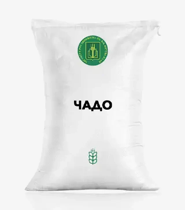 Пшениця яра Чадо, т (Інститут В.Я. Юр’єва НААН)