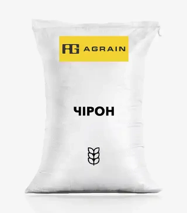 Пшениця озима Чірон, т (Saaten Union)