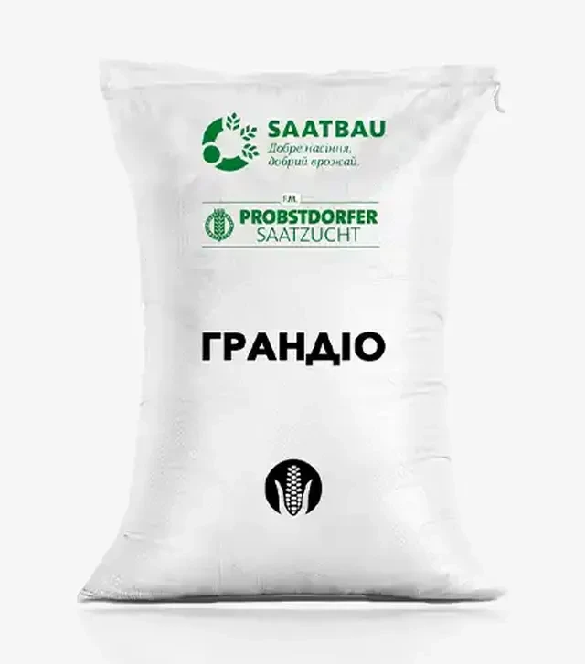 Кукурудза Грандіо, п.о. 80 тис. насінин (Saatbau)