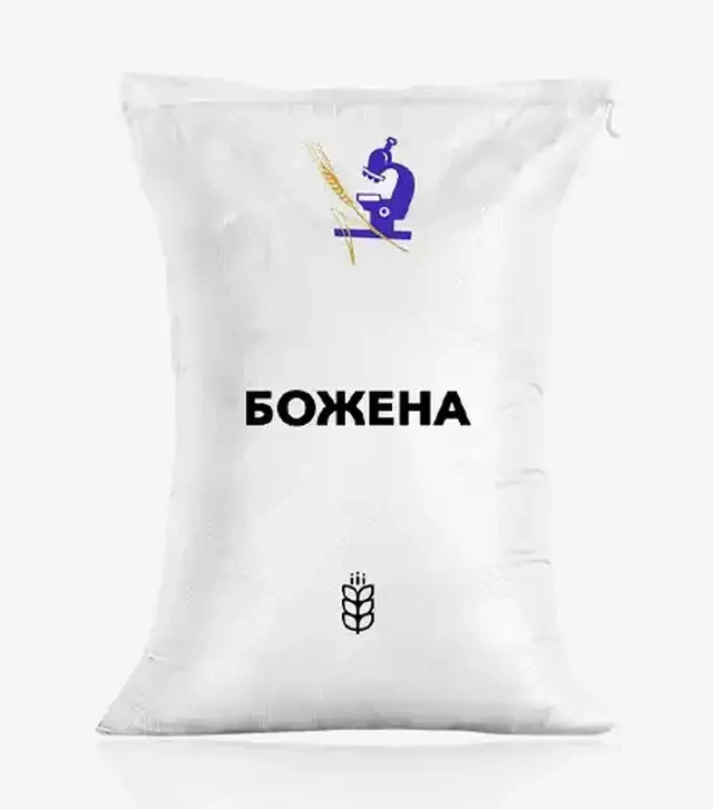 Пшеница оврага Божена, т (ИСМА НААН)