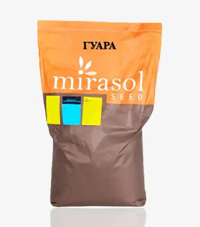 Соняшник Guara OR7+ (Гуара), п.о. 150 тис. насінин (Mirasol Seed)