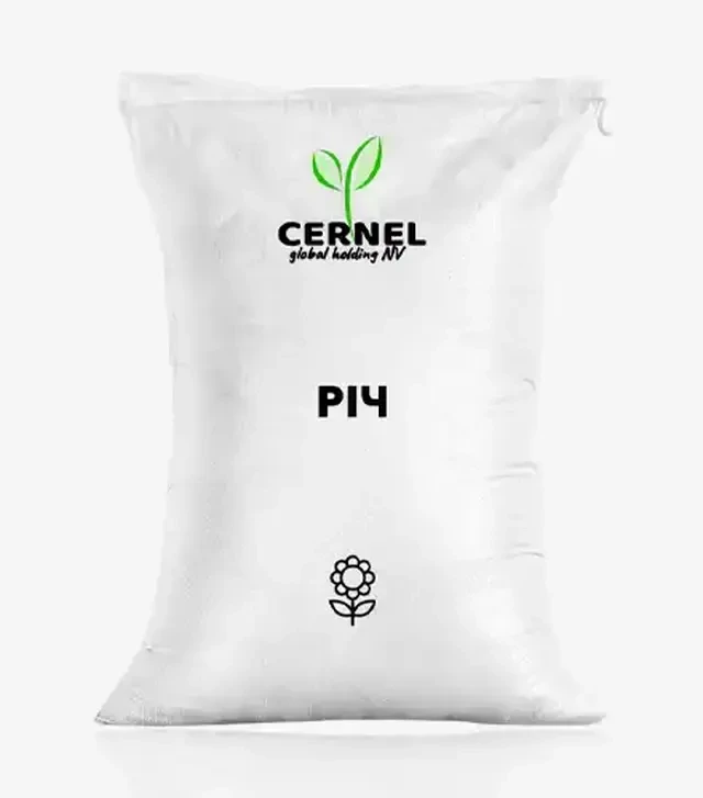 Подсолнечник Rich (Вещь), п.е. 150 тыс. семян (Cernel Global Holding NV)