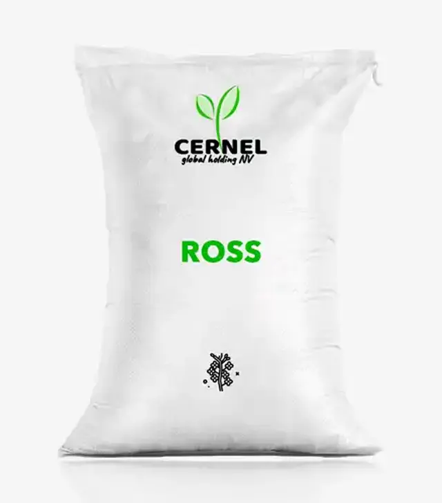 Ріпак озимий Ross (Росс), п.о. 1 500 тис. насінин (Cernel Global Holding NV)