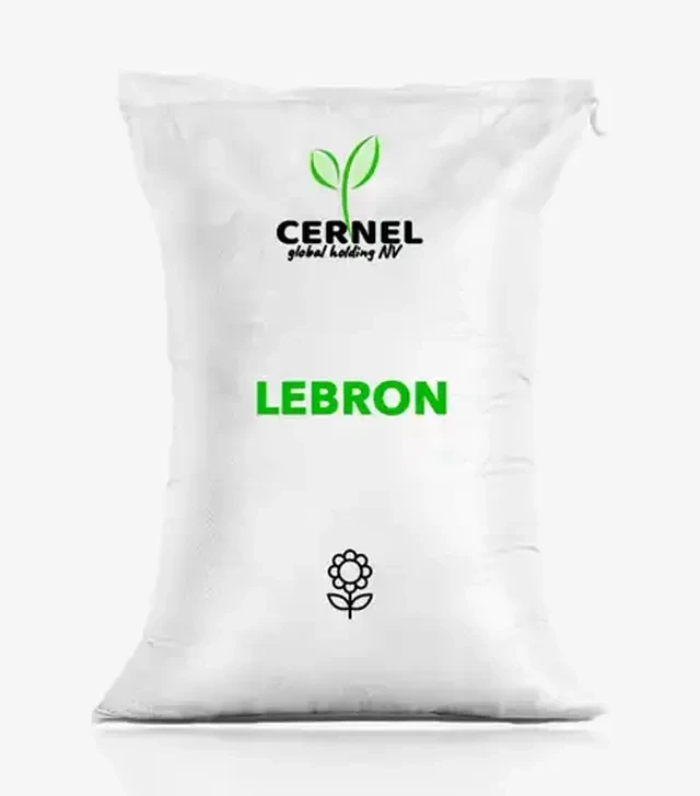 Подсолнечник Lebron (Леброн), п.е. 150 тыс. семян (Cernel Global Holding NV)
