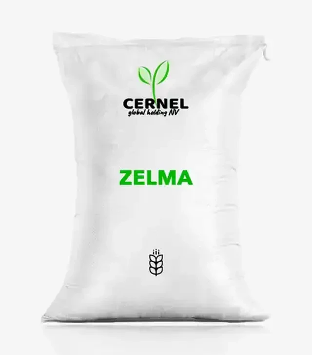 Пшениця яра Zelma (Зелма), т (Cernel Global Holding NV)