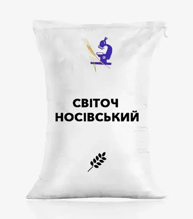Ячмінь ярий Світоч Носівський, т (ІСМАВ НААН)